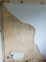 Mid terraced 1920 blown plaster