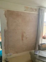 Damp patch on newly plastered wall