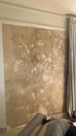Damp patch on newly plastered wall