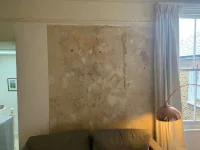 Damp patch on newly plastered wall