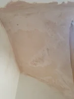 Plastered winders under stairs not drying properly