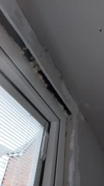 Youll enjoy this one guys.. pics included