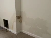 Bridging or rising damp?