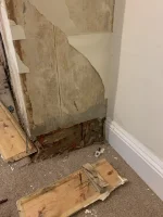 Bridging or rising damp?