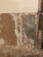 Bridging or rising damp?