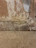 Bridging or rising damp?