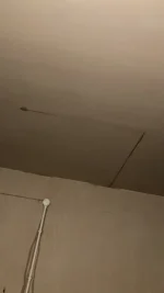 Flooded Bathroom, Will Boards Be Ok.