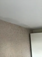 Damp in celling