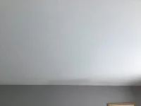 Damp in celling