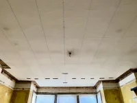 Old bloke on a mission..