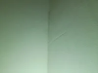 Help