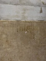 Getting 1930’s house replastered