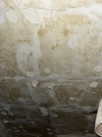 Getting 1930’s house replastered