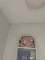 HELP! Is this a structural issue?