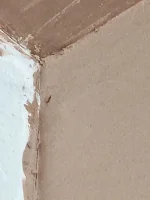 Plasterer issues, advice?