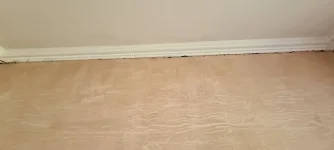 Can this be salvaged?