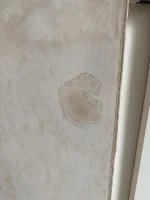 Damp proofing failed? Damp proofing failed?
