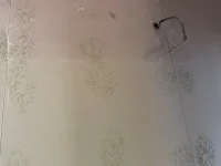New Plaster board has mould
