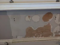 Signs of damp on exterior wall?