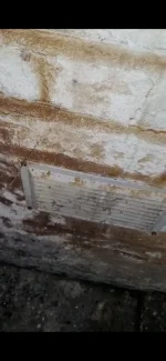 Signs of damp on exterior wall?