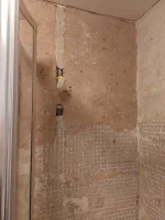 What to do about my shower walls?
