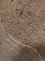 What to do about my shower walls?