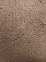 What to do about my shower walls?