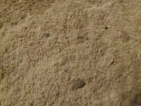 What to do about my shower walls?