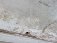 What's the best way to deal with these walls assuming I want to decorate them?