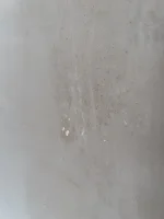 My plasterer skimmed OVER wallpaper - HELP