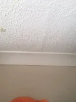 Skimming over asbestos artex ceiling