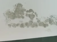 Help - possible causes?