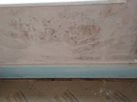 Marks on newly skimmed wall help and advice please