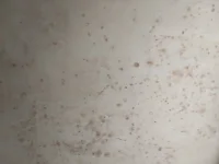 Marks on newly skimmed wall help and advice please