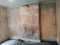 Marks on newly skimmed wall help and advice please