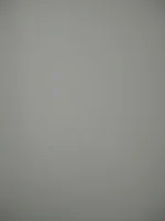 Plastering advice