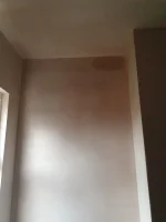 Advice on refurb on old edwardian property