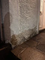 DAMP RENDER DIY ADVICE