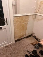 DAMP RENDER DIY ADVICE