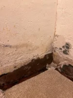 DAMP RENDER DIY ADVICE