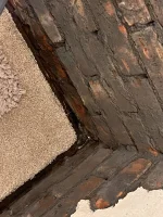 DAMP RENDER DIY ADVICE