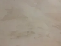 Plastered Ceiling - Good Finish?