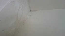 Help please. Damp on chimney breast wall upstairs.