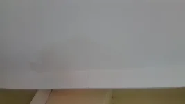 Help please. Damp on chimney breast wall upstairs.