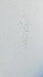Tiny pin holes on plastered walls