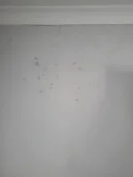 Hygroscopic or maybe soot deposits.