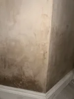How long does plaster dry up?