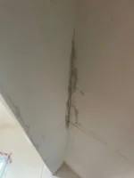 Help - Damp patches in plastering on loft conversion roof - 2nd opinion