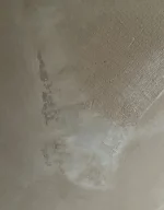 How to fix bad plastering? reskim? easy fill? toupre tx110? Pls help..