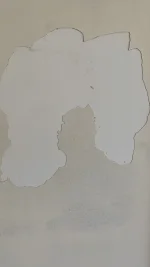 Applied mist coat, plaster falling off....